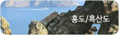 ȫ/굵